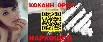 амф Кингисепп