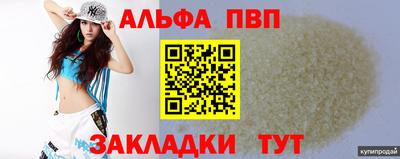 амф Кингисепп