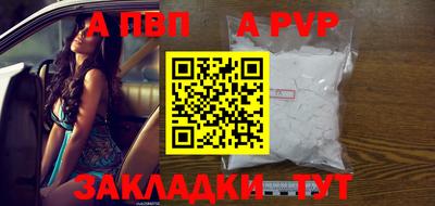 амф Кингисепп