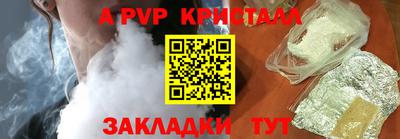 амф Кингисепп