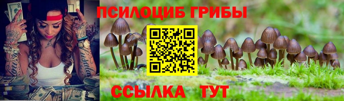 Псилоцибиновые грибы Psilocybine cubensis  Вход с VPN  Галлюциногенные грибы Psilocybine cubensis  Нижнекамск 